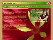 Tablet Screenshot of hulajustforyou.com